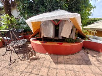 ペット可シェア